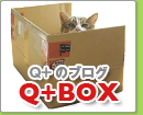 Q+ BOX